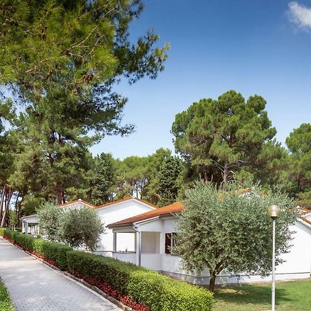 Apartments Galijot Plava Laguna Пореч Екстериор снимка